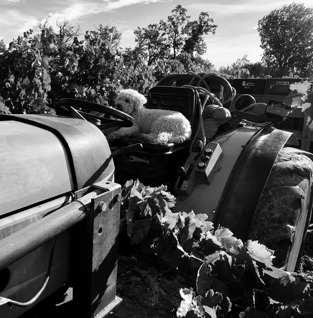 Les Vignerons d'Estézargues