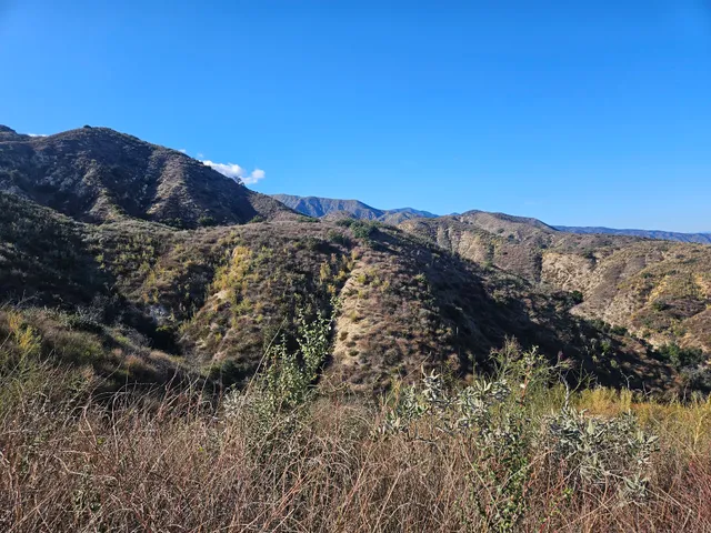 Indian Truck Trail Off Roading