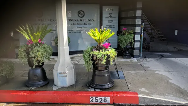 Cinema Wellness Lymphatic Drainage MLD - Therapeutic Massages - Aesthetic Facials