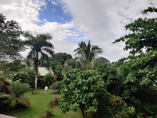 La Junglita Guest House