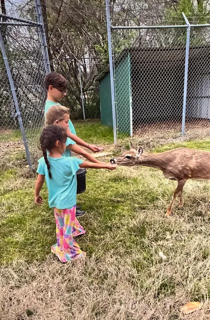 Wildlife Heritage Center Museum