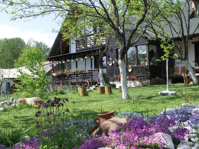 Pensiunea Casuta din Lunca