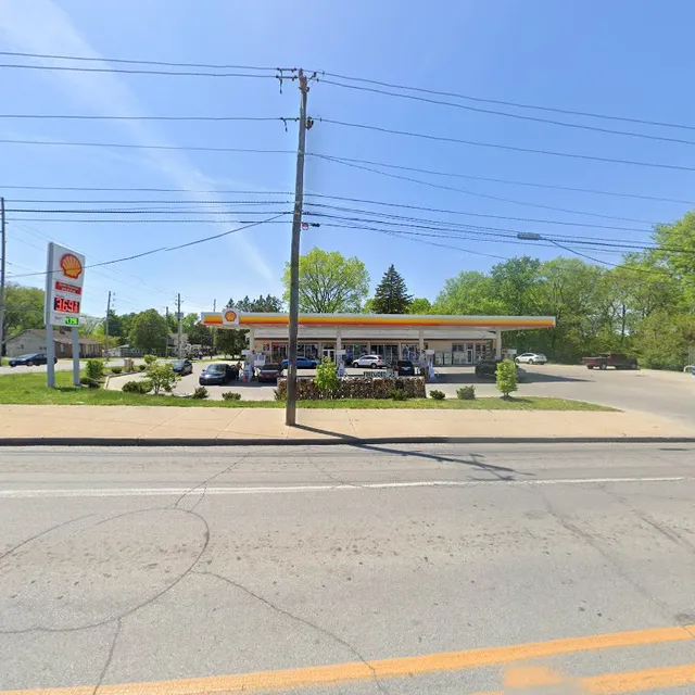 Noble Romans (Shell)