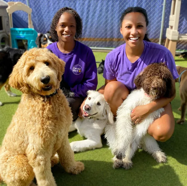 Central Bark Atlanta