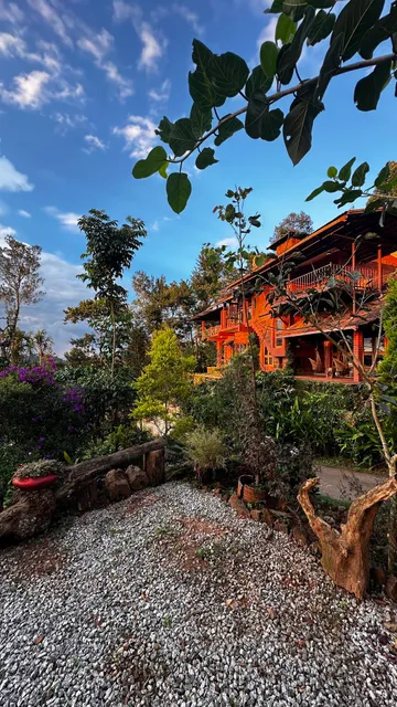 Pepper Berry Hills Coorg