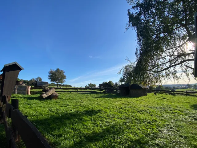 Tierisches Labyrinth