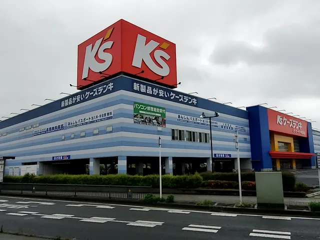 K's Denki Otsupakuinage