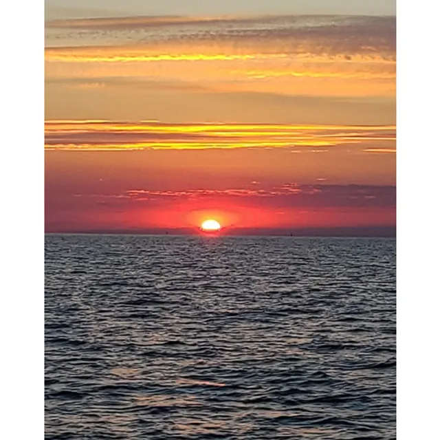 Captain Johnny's Dolphin Watch