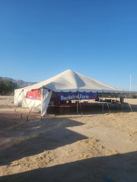 Rick's Christmas Trees