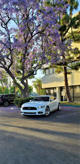 Buena Park Commerce Plaza