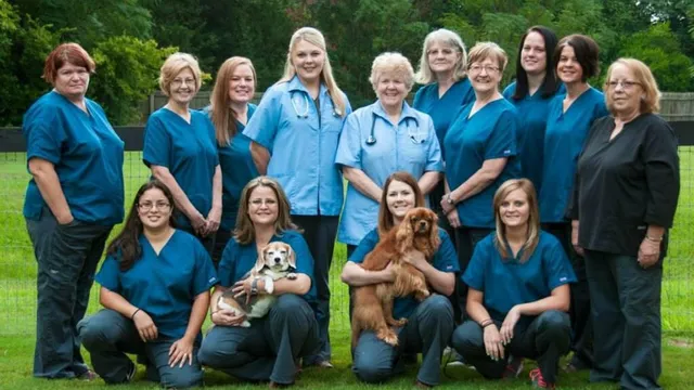Aiken Animal Hospital