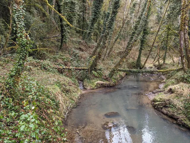 Friends Of Tryon Creek