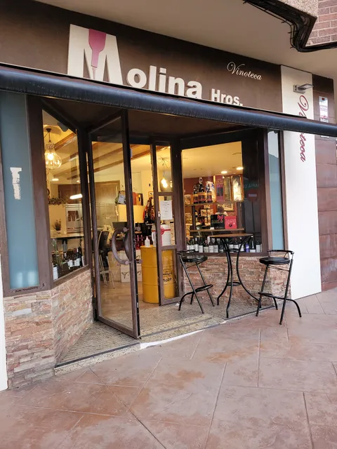 Vinoteca Molina Hros