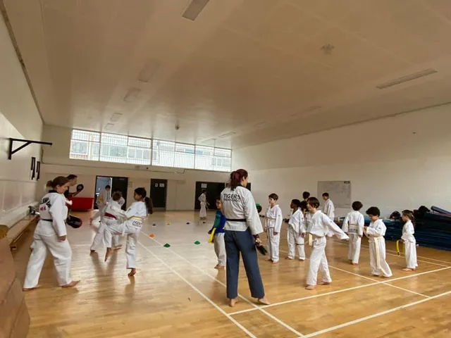 TIGERS TAEKWONDO ACADEMY