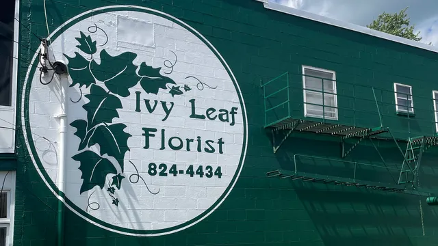 Ivy Leaf Florist