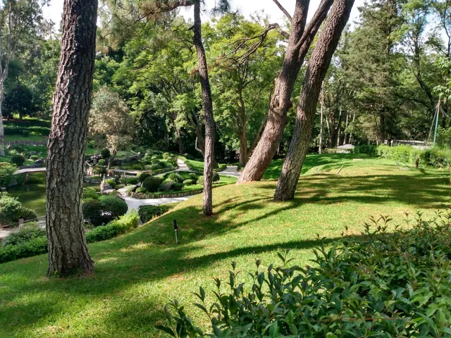 Bosque Los Colomos Paseo del Torreón