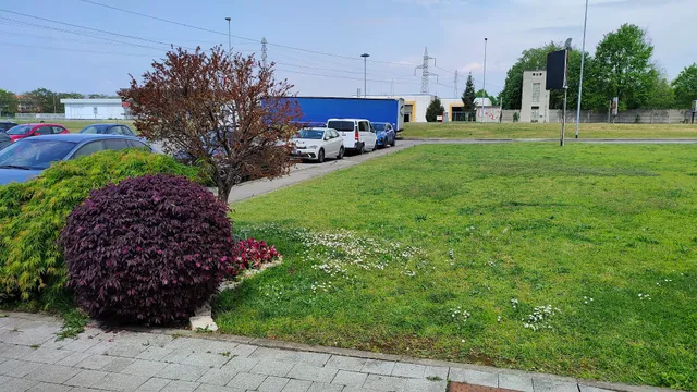 photo-2