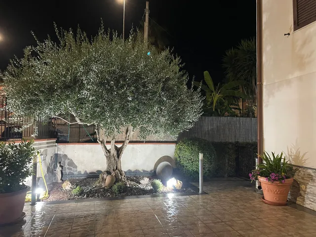 Villa Rea Comfort & Relax