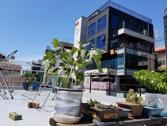 Gateway Korea Guesthouse