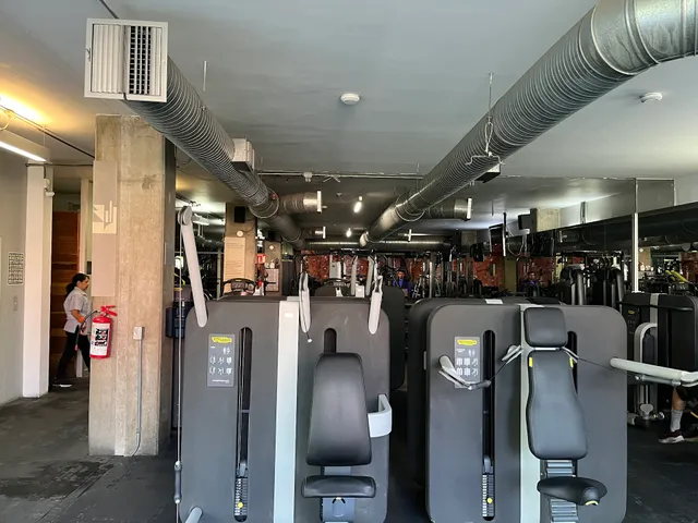 qi Body & Mind Fitness