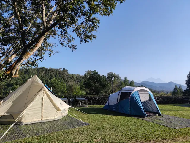 山福情森露營區