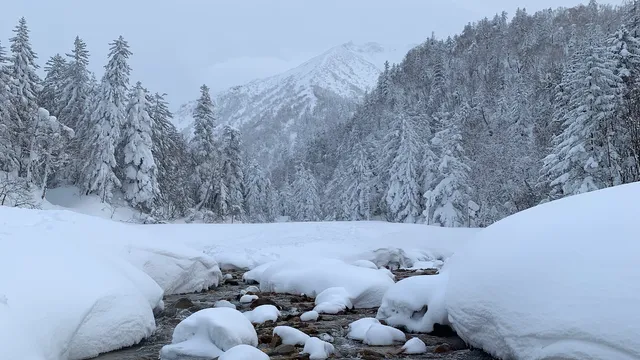 Whiteroom Furano Guiding, Lessons & Backcountry Rental