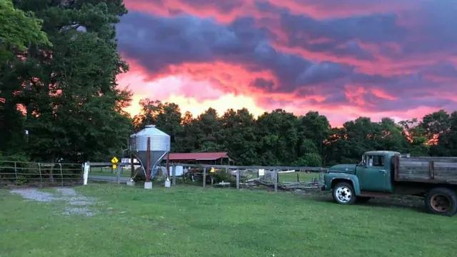 Old McCaskill's Farm