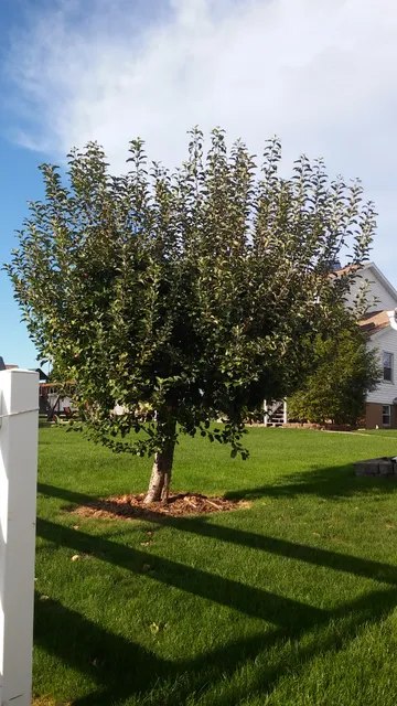 Farmerstown Shoe 'N' Gift Shop, llc