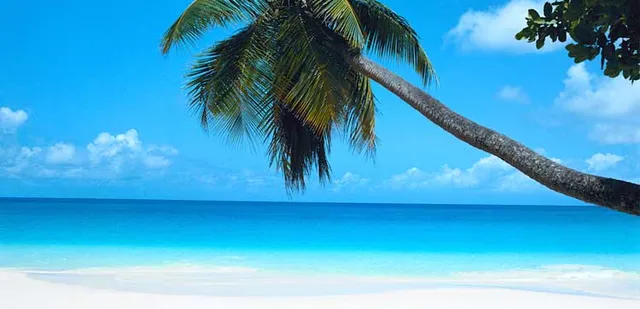 Tropicalboat Luxury Yacht Charters & Rentals