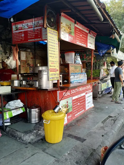 Real South Indian Cafe