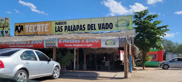 Las Palapas del Vado