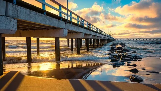 "ZELIŪGA Apartments