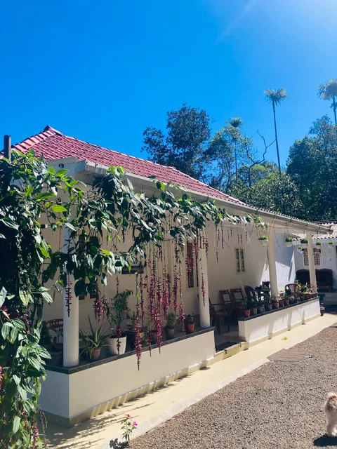 VALLEY CASA HOME STAY BISONVALLEY