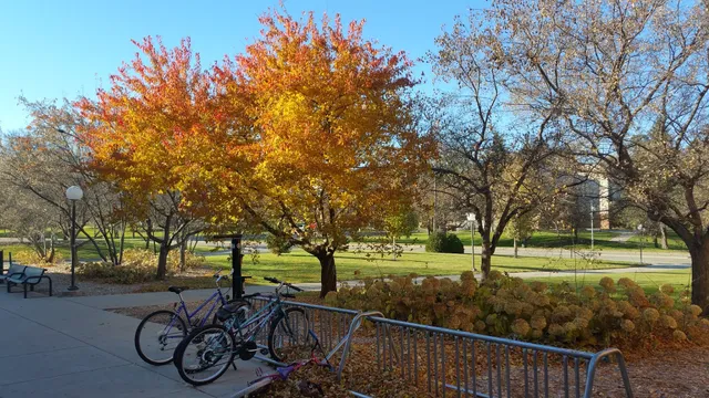 Regional Fitness Center