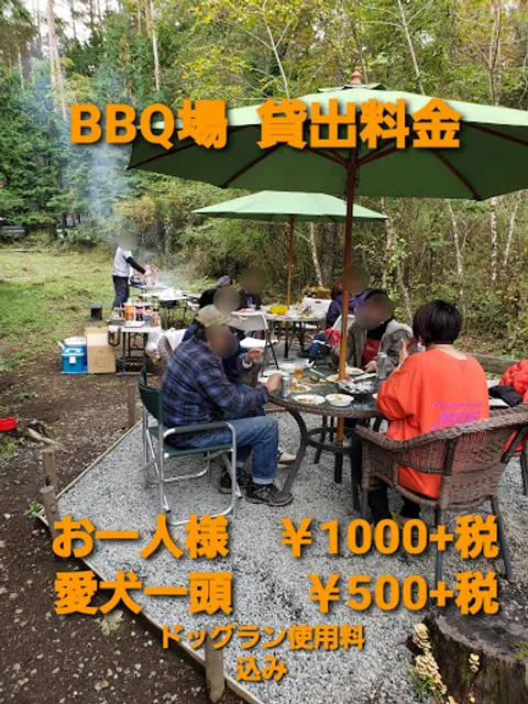 Dogs Garden Wild Park