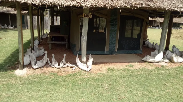 Amboseli Elephant Research Camp