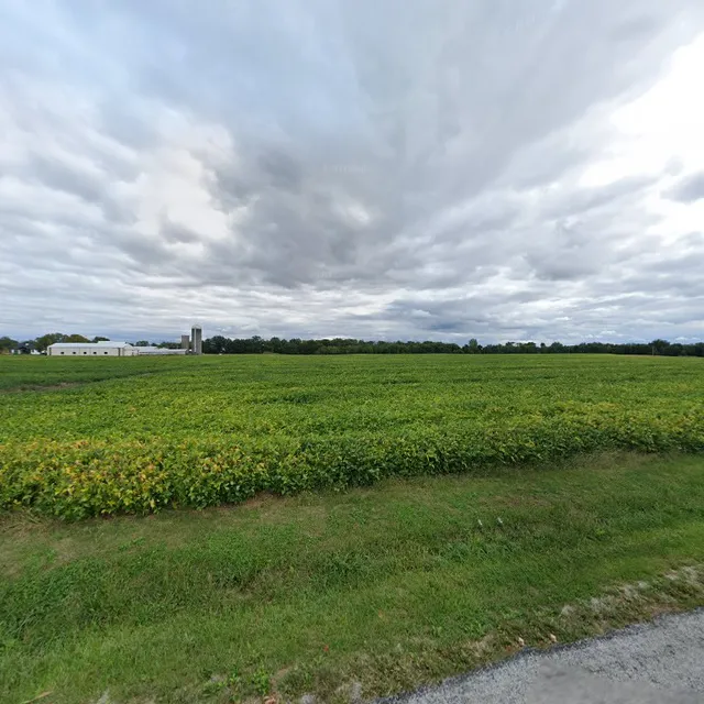 A-1 Sportswear Printing Co