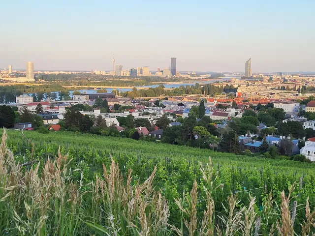 Nussdorfer Weinberge