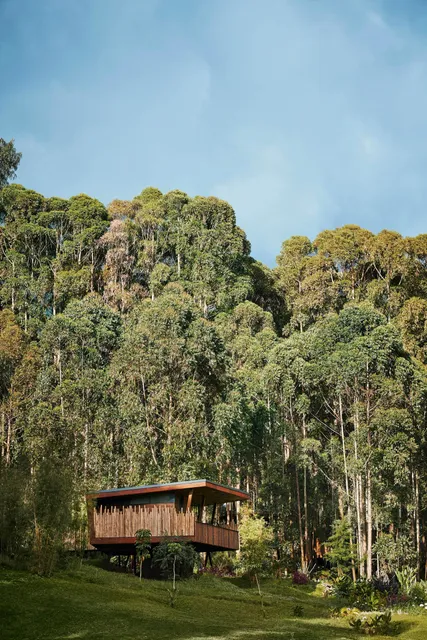 One&Only Gorilla's Nest