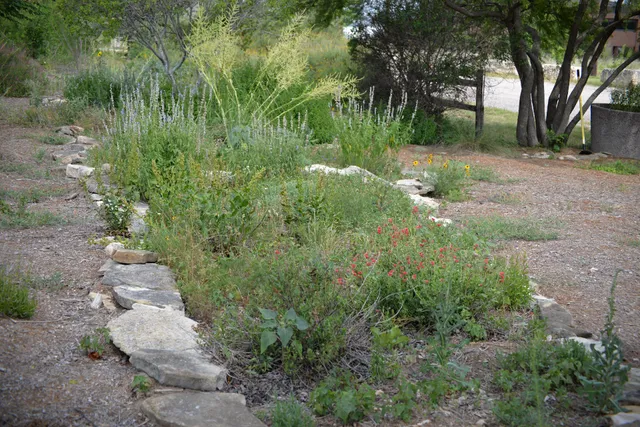 Bird, Bee, Butterfly & Bat Garden