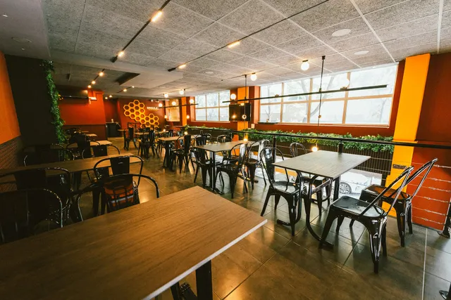 Singular Smash Burger