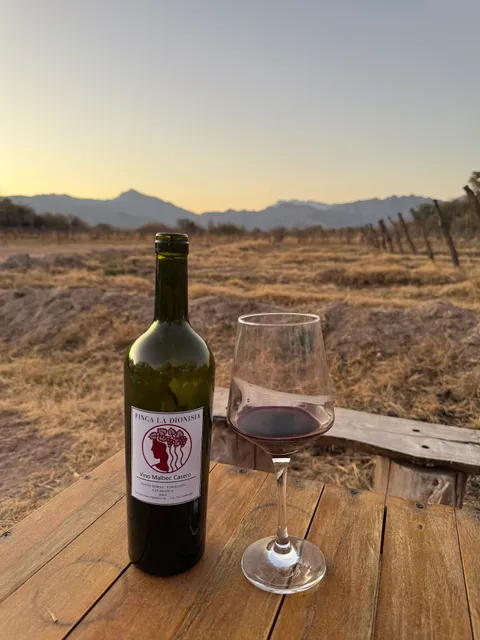 Finca y Bodega La Dionisia