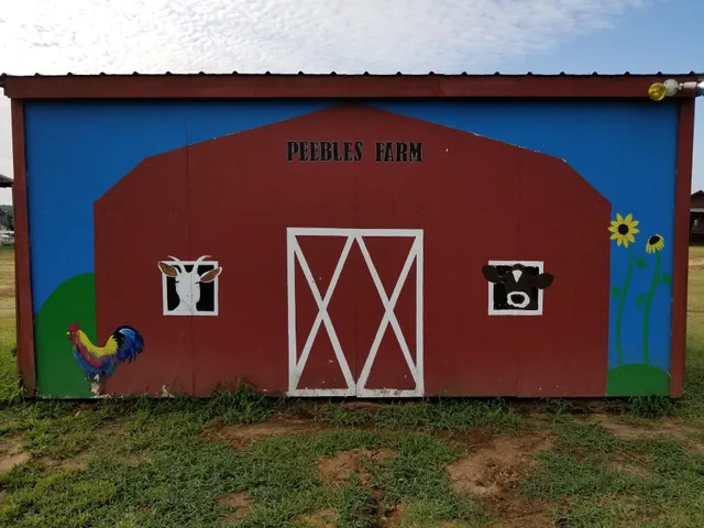 Peebles Farm Pumpkin Patch and Corn Maze
