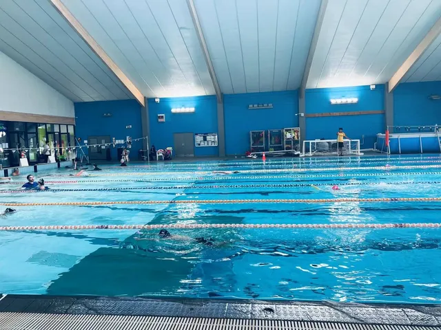 鲸鱼岛游泳学校Aqua Artist