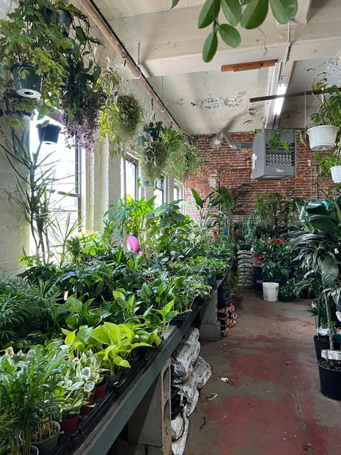 Ricky's Flower Market