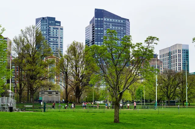 Boston Common Baseball Field