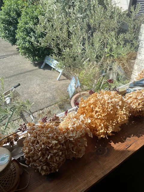 photo-1