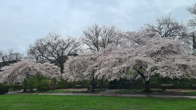 Platz Der Republik, Hamburg, Germany
