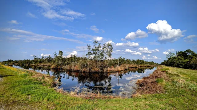 Pungo Unit of Pocosin Lakes National Wildlife Refuge