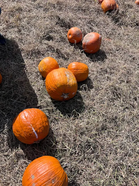 Wilkens Fruit & Fir Farm